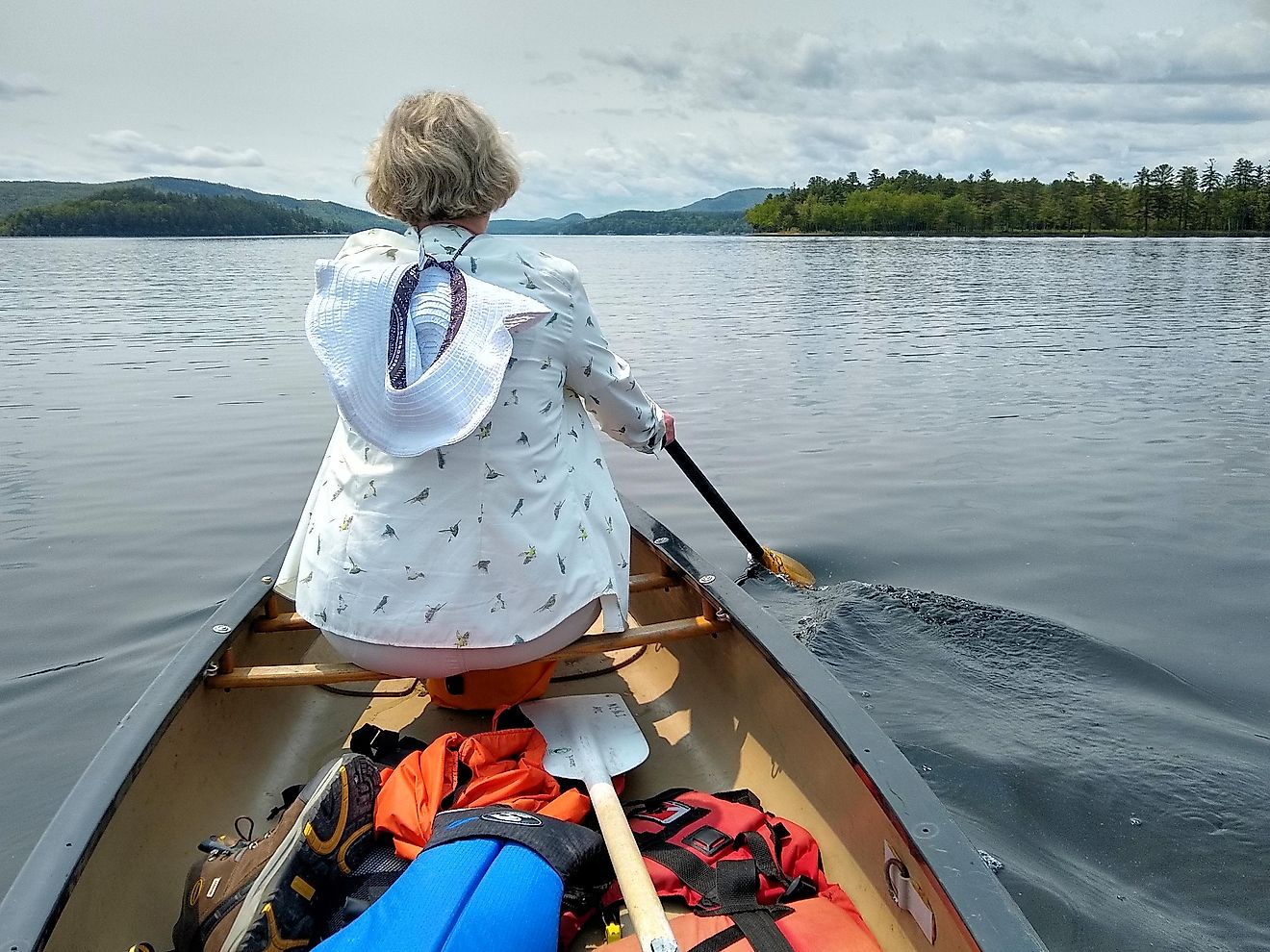 Schroon Lake viewed from a canoe. By MJPlante1, CC BY-SA 4.0, https://commons.wikimedia.org/w/index.php?curid=109730859