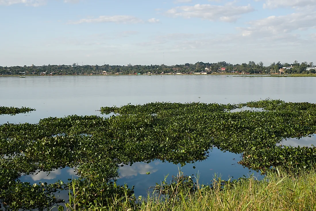 The Paraná River. 