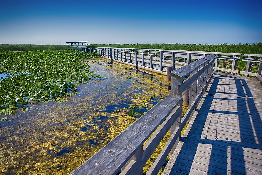 The boardwalk at Point Pelee National Park. 