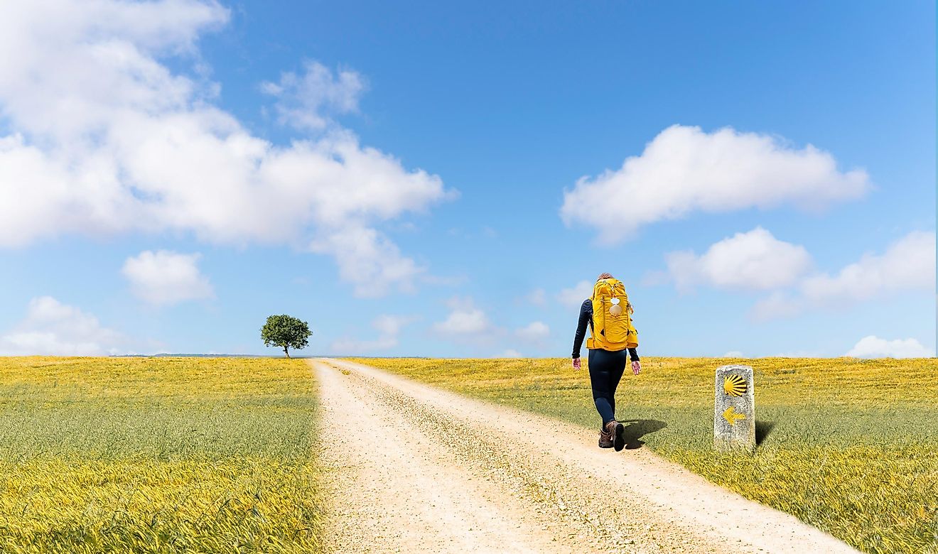 A backpacker strolls a long gravel road in the Spanish countryside. A stone pillar with a yellow seashell and arrow shows the way. The bright yellow/green grassy fields contrast the blue sky and white, fluffy clouds.