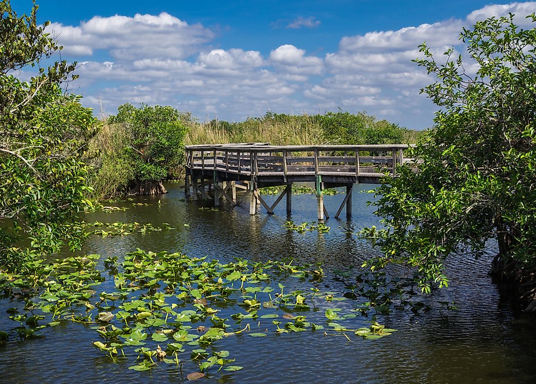 A boardwalk in Everglades National Park, Florida. 