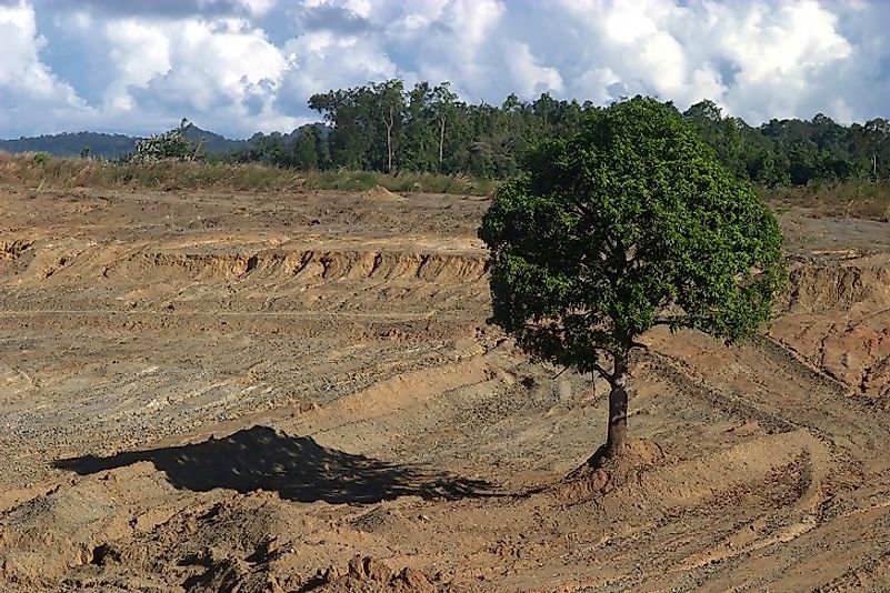 This desolate wasteland in Papua New Guinea was once a thriving rainforest before clear-cut logging took its toll.