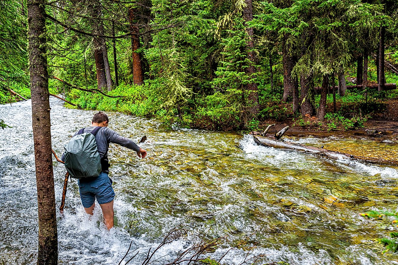 A hiker trying to cross a fast-flowing river in the White River National Forest, Colorado.