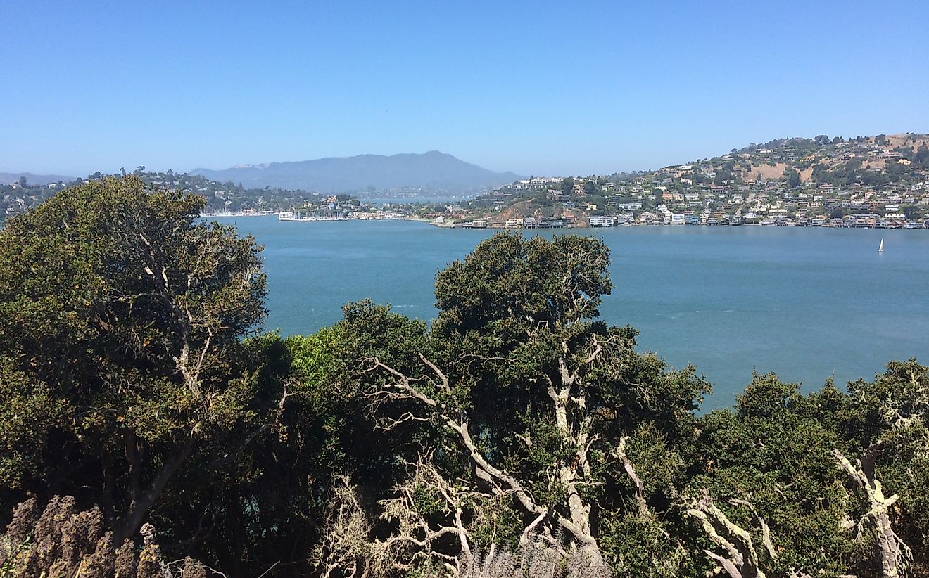 A view of Tiburon island. 