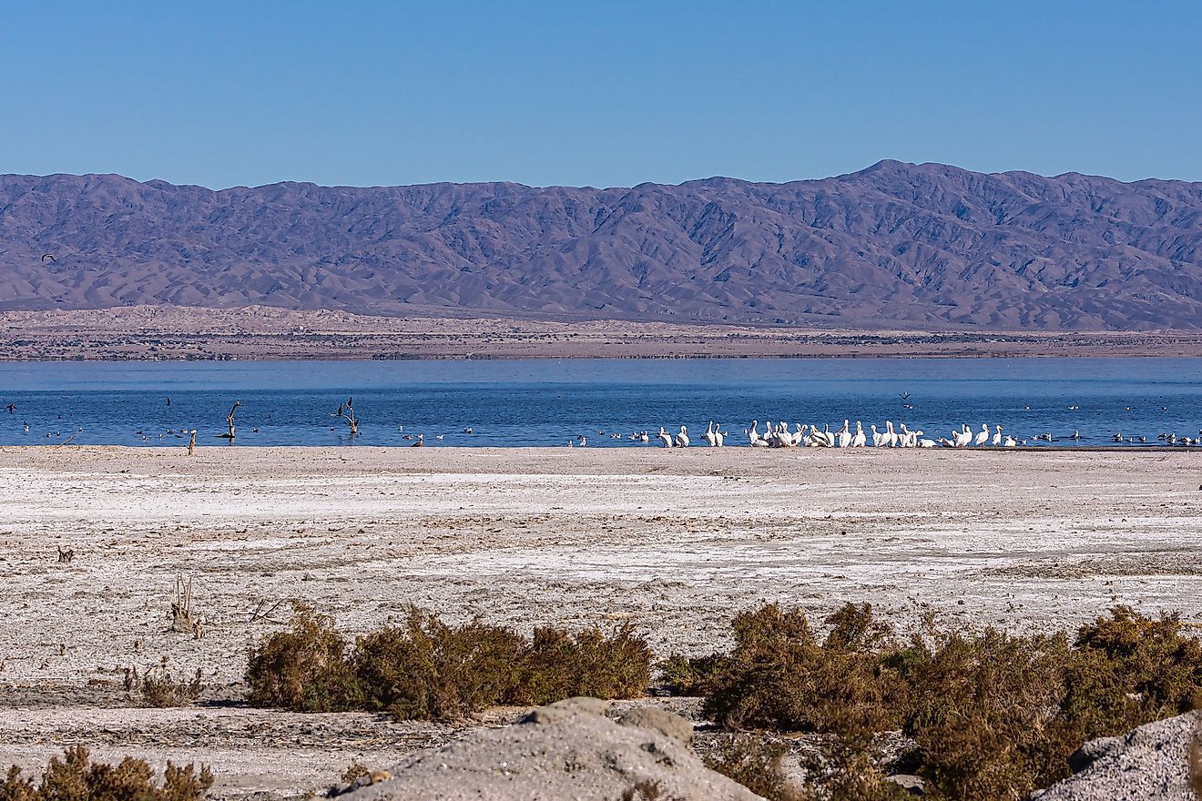 Salton Sea beach in California. Editorial credit: Claudine Van Massenhove / Shutterstock.com