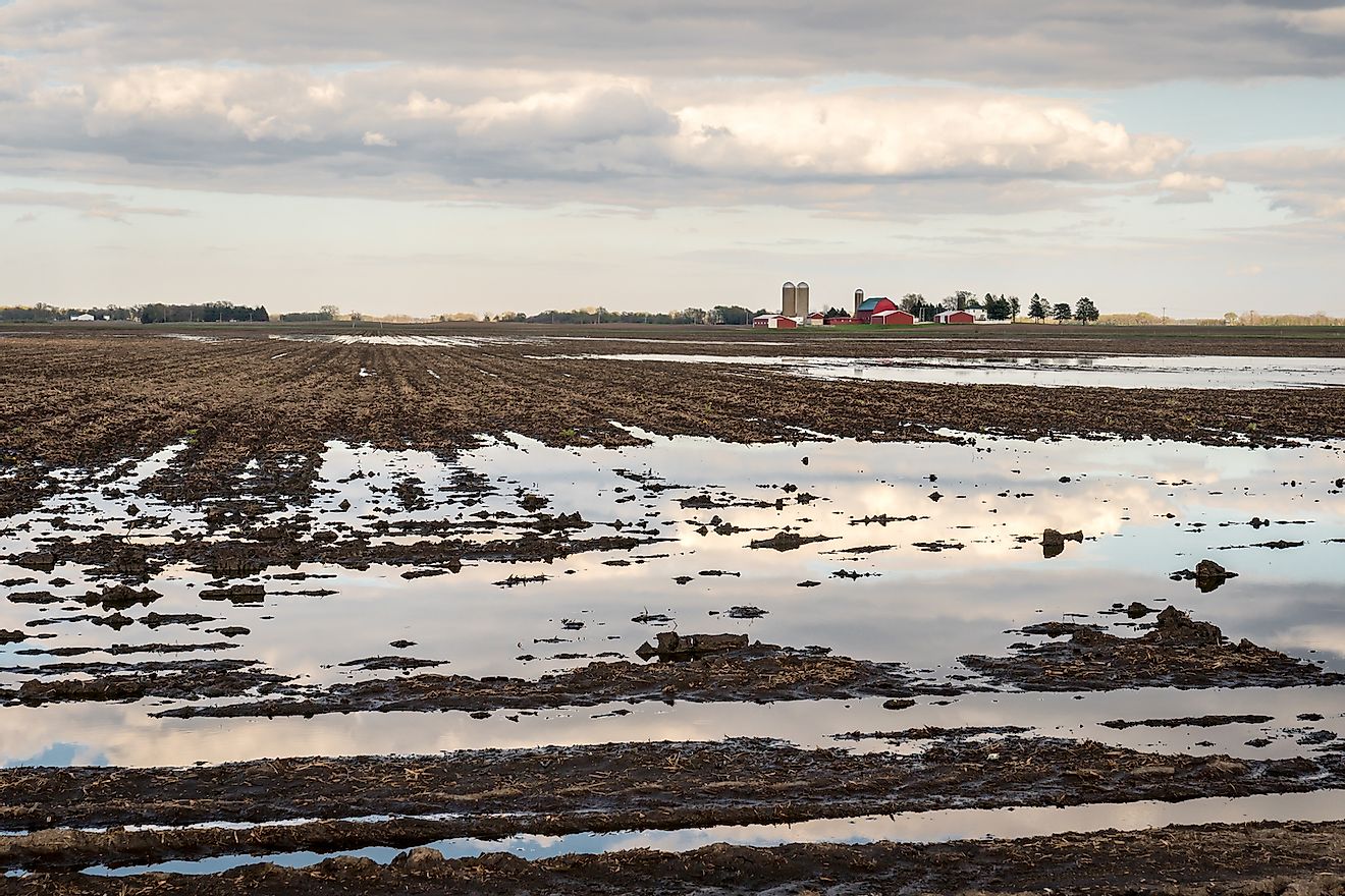 Flooded agricultural corn fields with sky reflected in the water soaked field. Image credit: Donna R. Theimer AIFD/Shutterstock.com