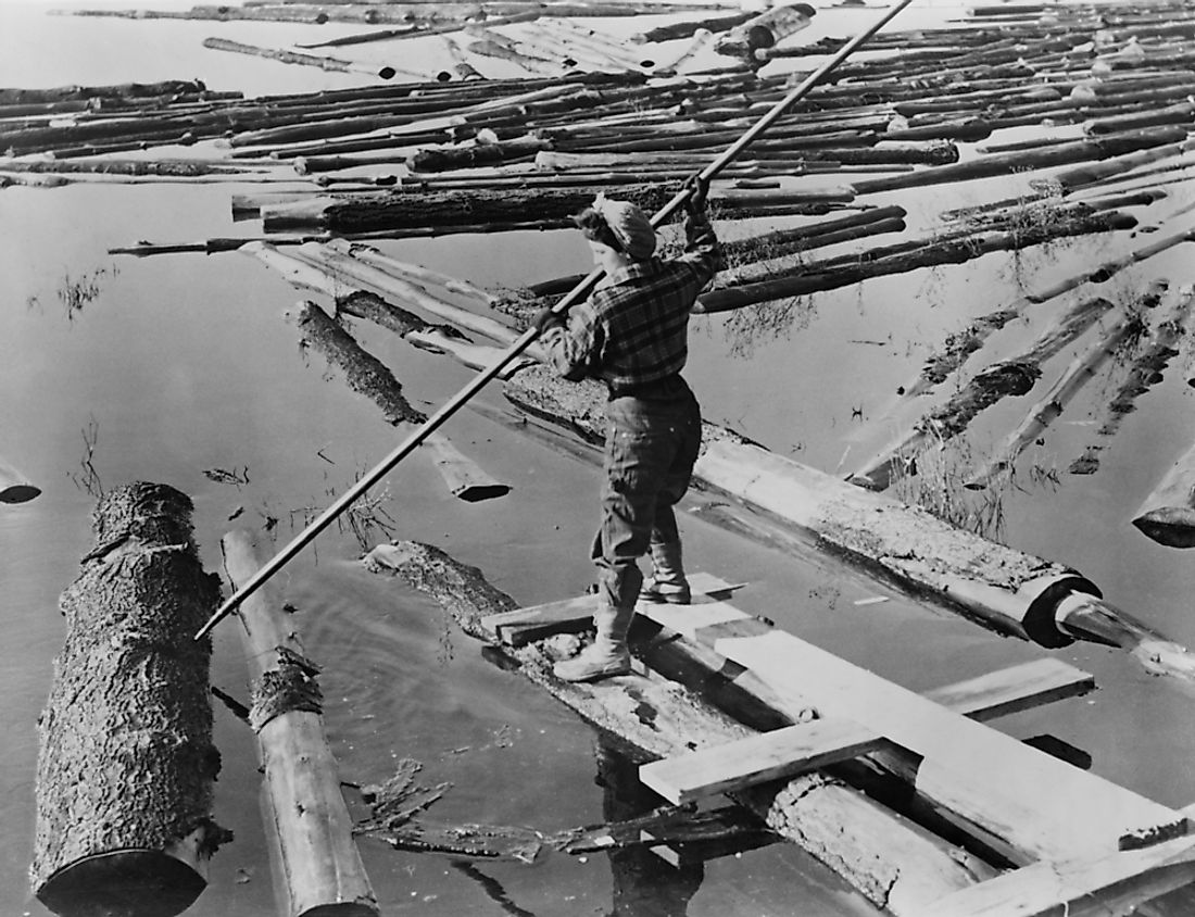 Female lumberjack during the Second World War. 
