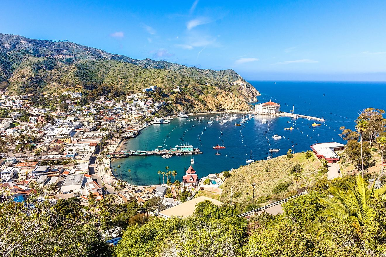 The harbor at Avalon, California.