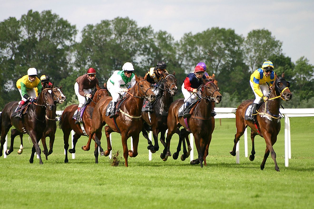 Horse Racing Is One Of The Top Reasons For Which Horses Are Traded Between Countries.