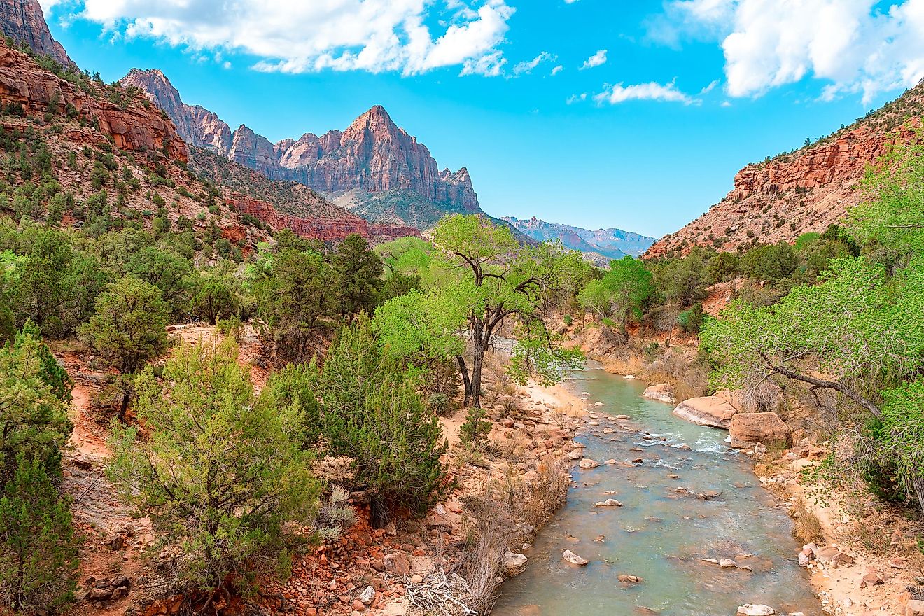 Virgin River in Zion Canyon.