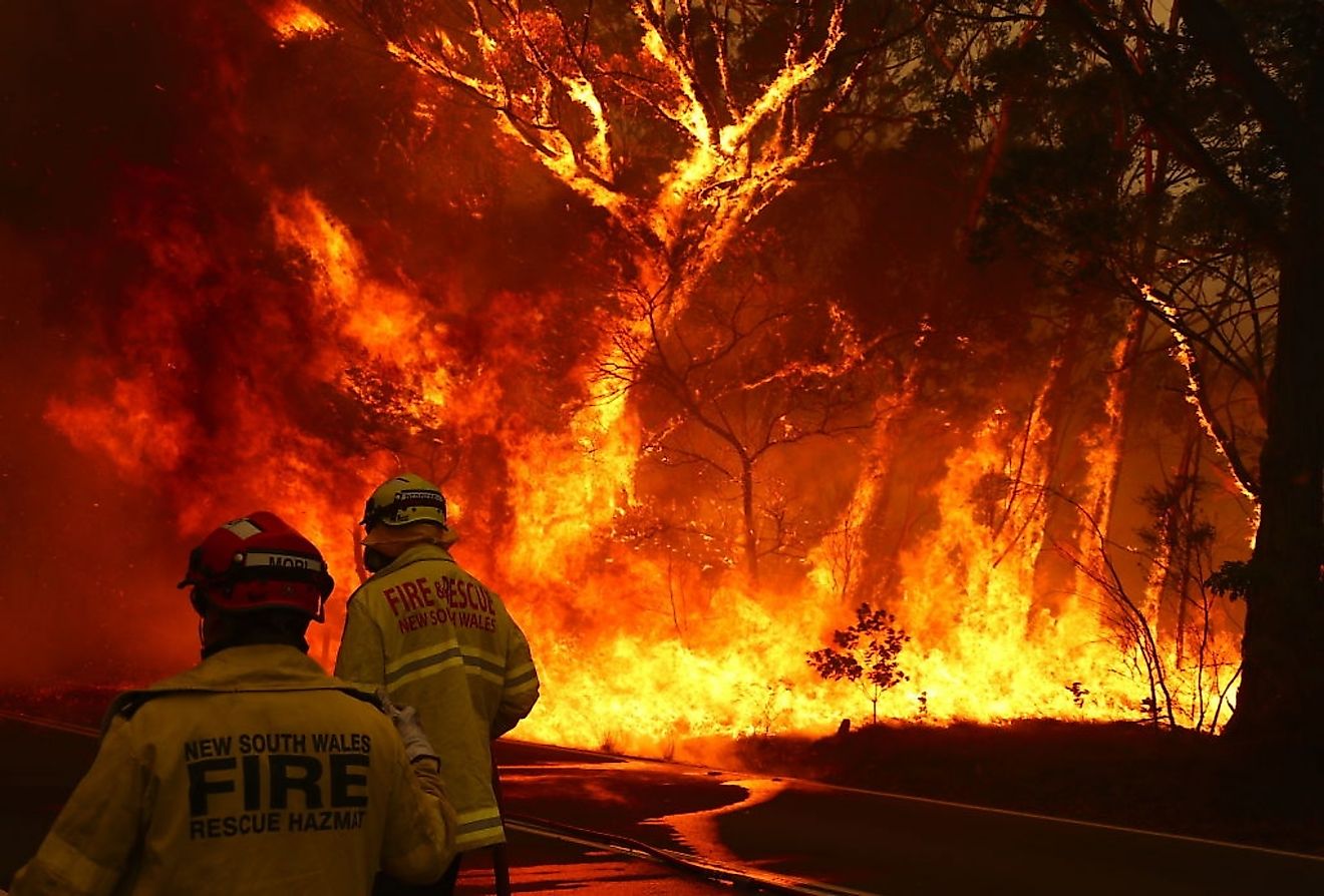 SYDNEY, AUSTRALIA - January 21, 2020: Fire and Rescue personel. Credit: SS studio photography / Shutterstock.com