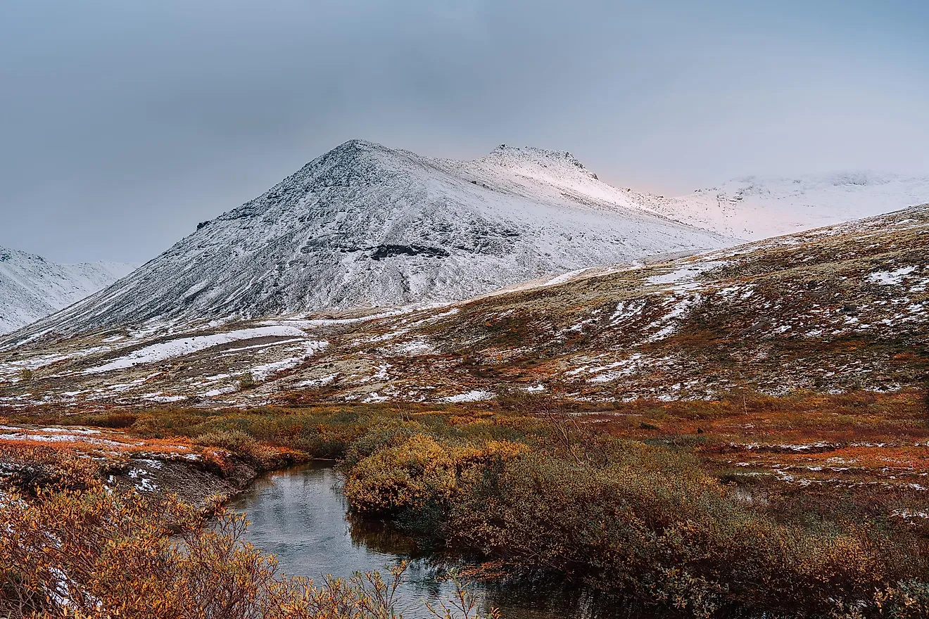 Autumn tundra, Arctic, Kola Peninsula. Image credit: Ksenya_89/Shutterstock