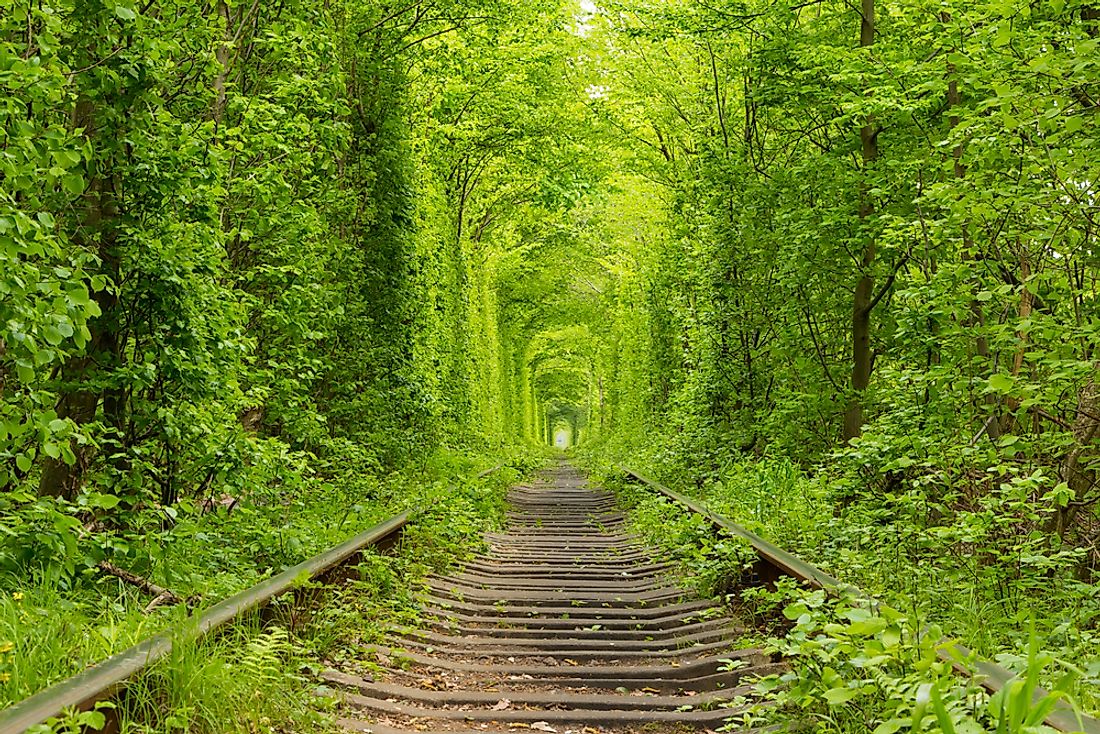 Ukraine's famous "Tunnel of Love". 