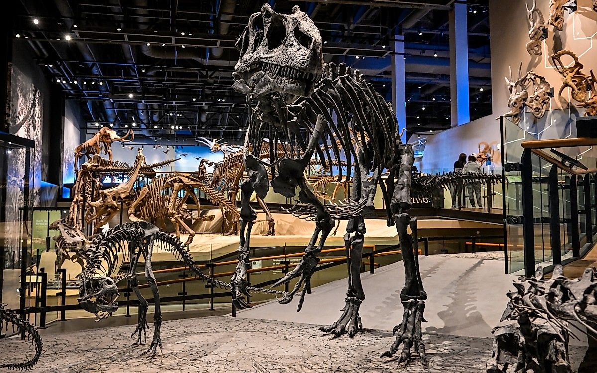 Dinosaurs at Natural History Museum of Utah, Salt Lake City, Utah. Image credit Matthew Thomas Allen via Shutterstock.
