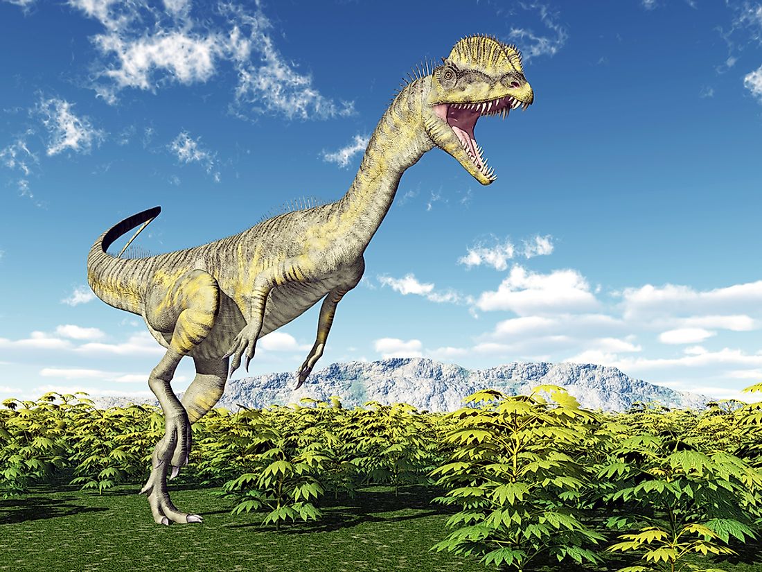 The Dilophosaurus dinosaur lived during the early Jurassic period about 193 million years ago. 