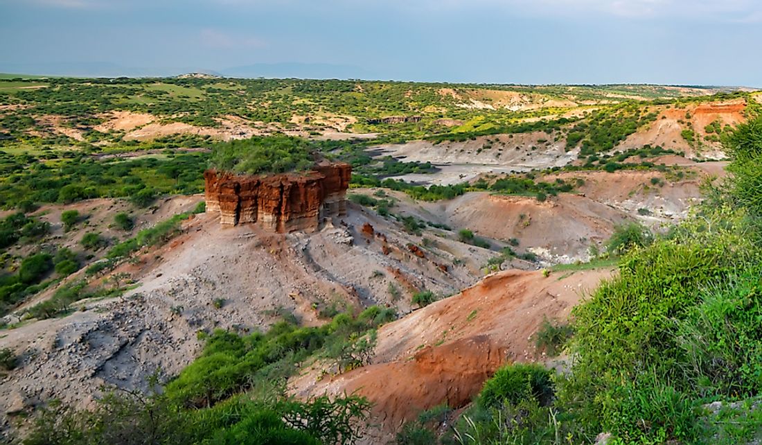 Olduvai Gorge is an important paleoanthropological site located in Tanzania, Africa.