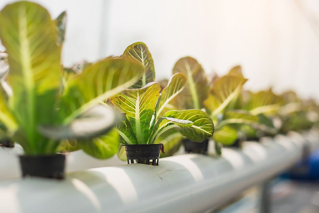 Hydroponics refer to the growing of agriculture without water. 