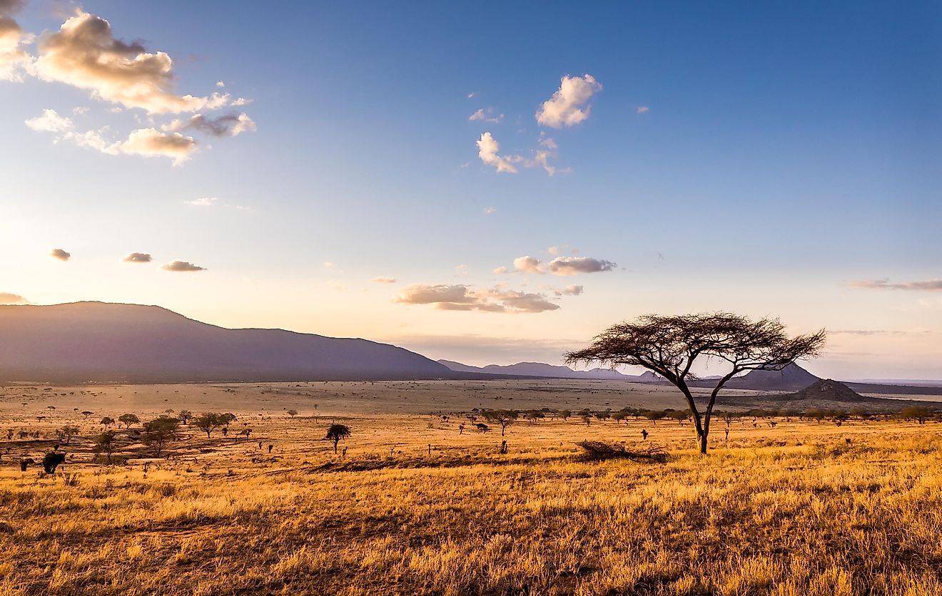 Amazing sunset at savannah plains in Tsavo East National Park, Kenya