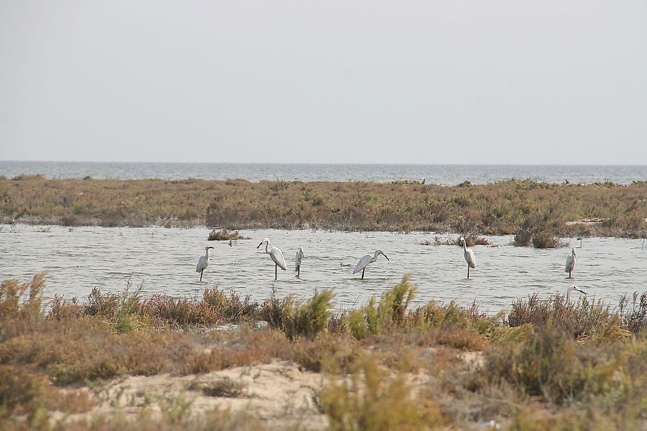 Lake Bardawil. Image credit: MEDASSET/Wikimedia.org