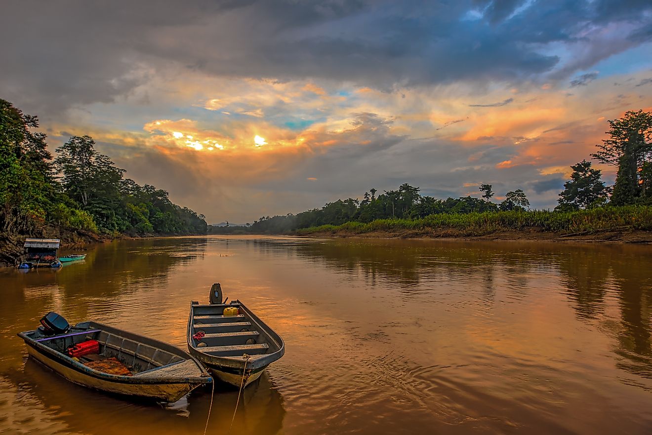 Kinabatangan River. Image credit: Ryasyanskiy/Shutterstock.com