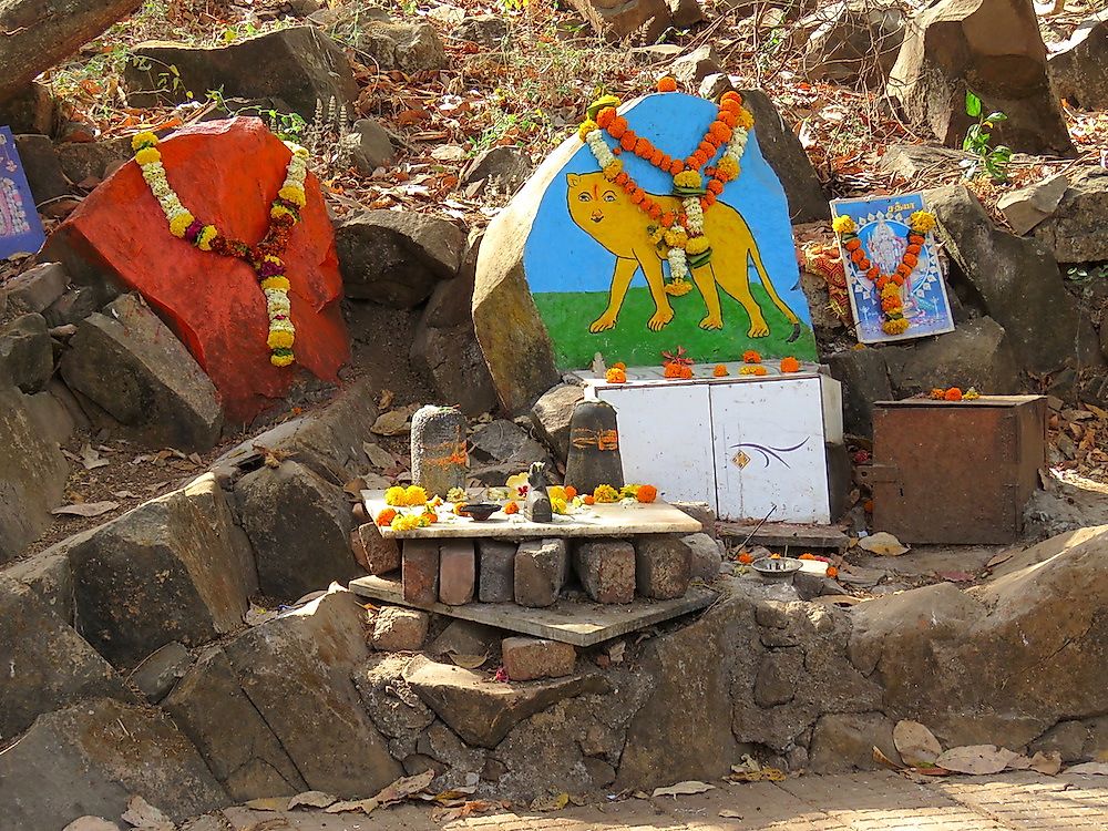 A Waghoba temple near SGNP with a big cat painted on stone. The painting is worshipped by the local people. Photo credit: World Atlas.