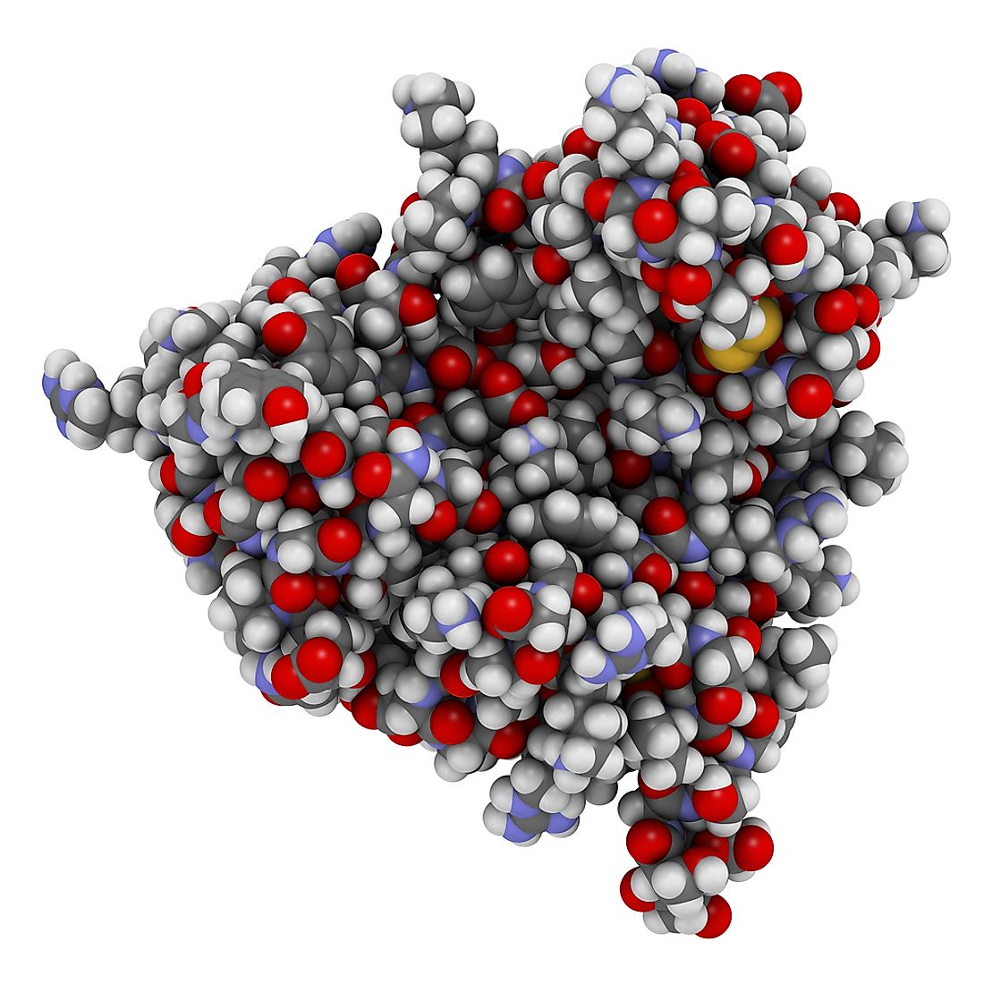 A 3D rendering of the protein Thaumatin, the sweetest substance in the world. 
