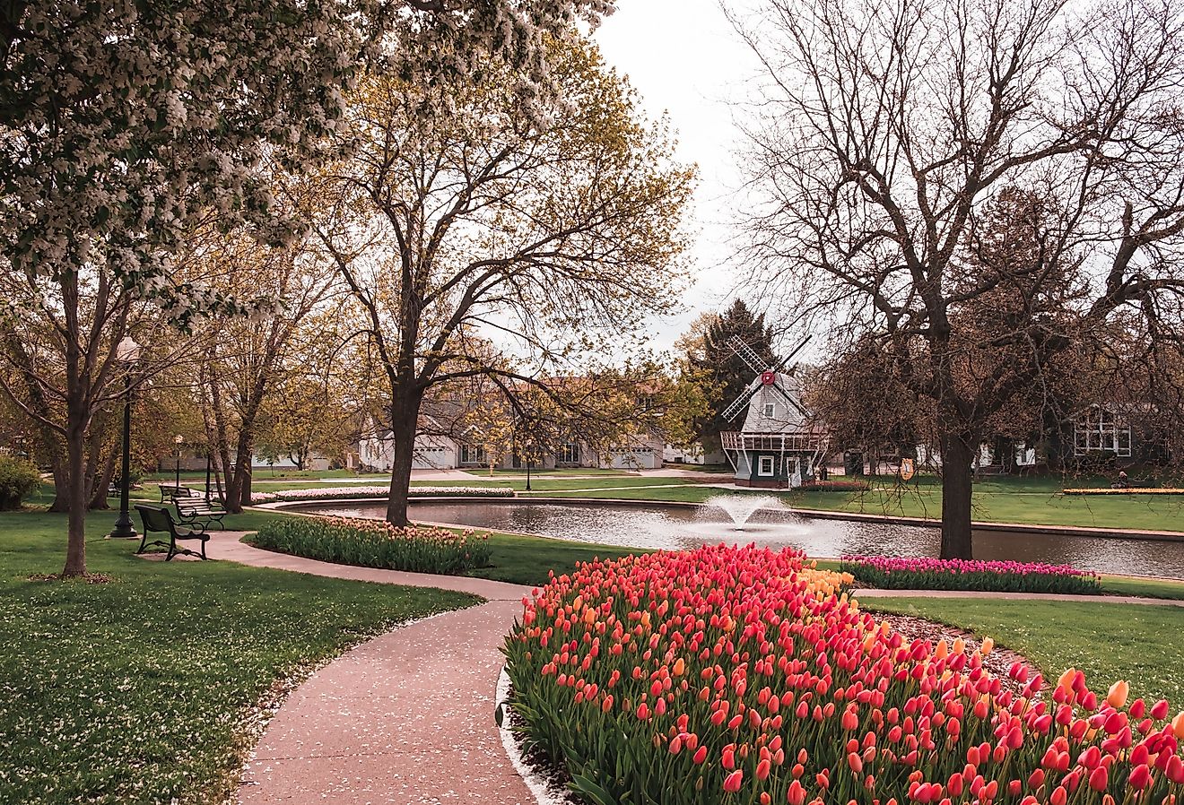 Pathway lined with beds of Tulips in Sunken Gardens Park, Pella, Iowa.