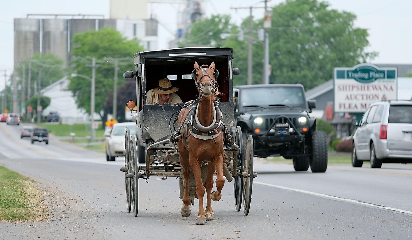 Amish horse and buggy in the midst of car traffic, Shipshewana, Indiana.