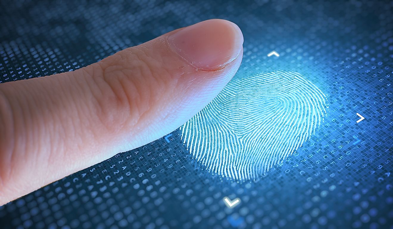 Fingerprint helps identify individuals. Image credit: vchal/Shutterstock.com