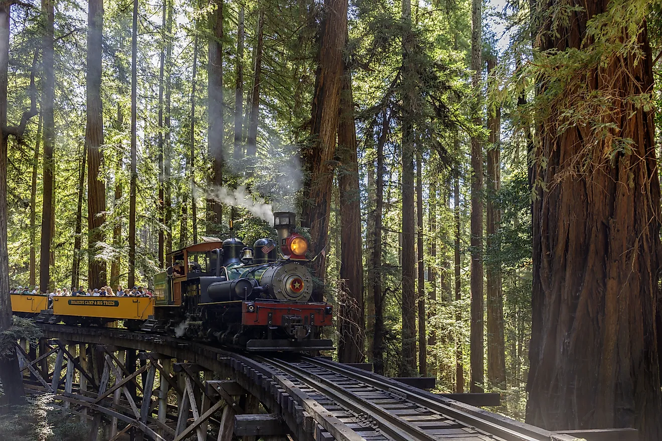 Felton, California, 2019. Roaring Camp' Dixiana Shay Steam Train over Trestle Crossing Redwoods in Santa Cruz Mountains. Image and caption: user yhelfman - Shutterstock. 