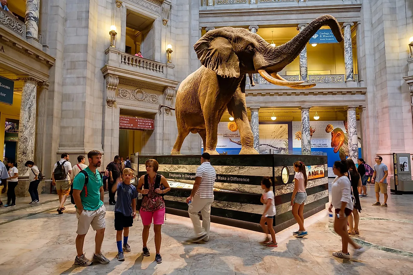 how to visit smithsonian museums