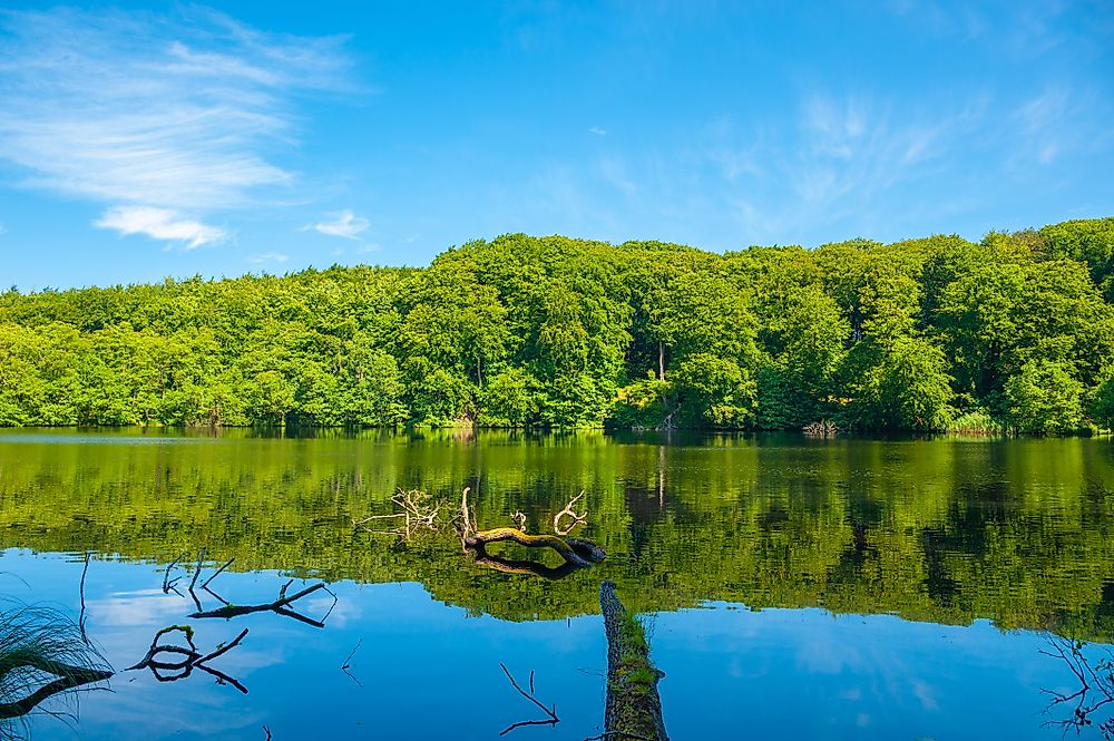 Jasmund National Park, Germany. 