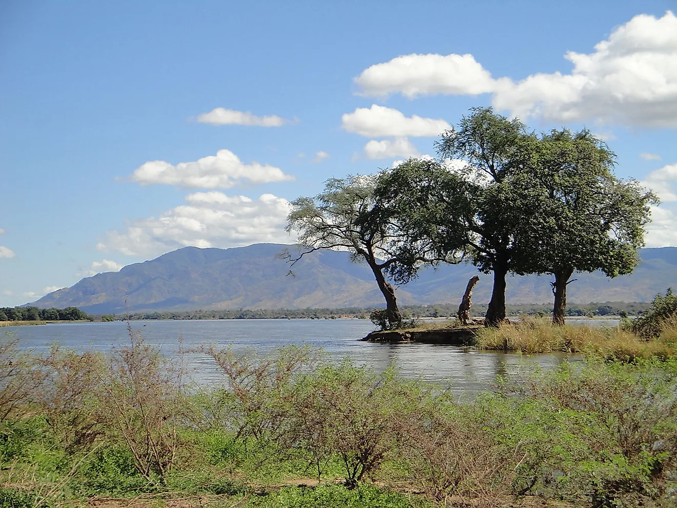 Mana Pools. Image credit: Babakathy/Wikimedia.org