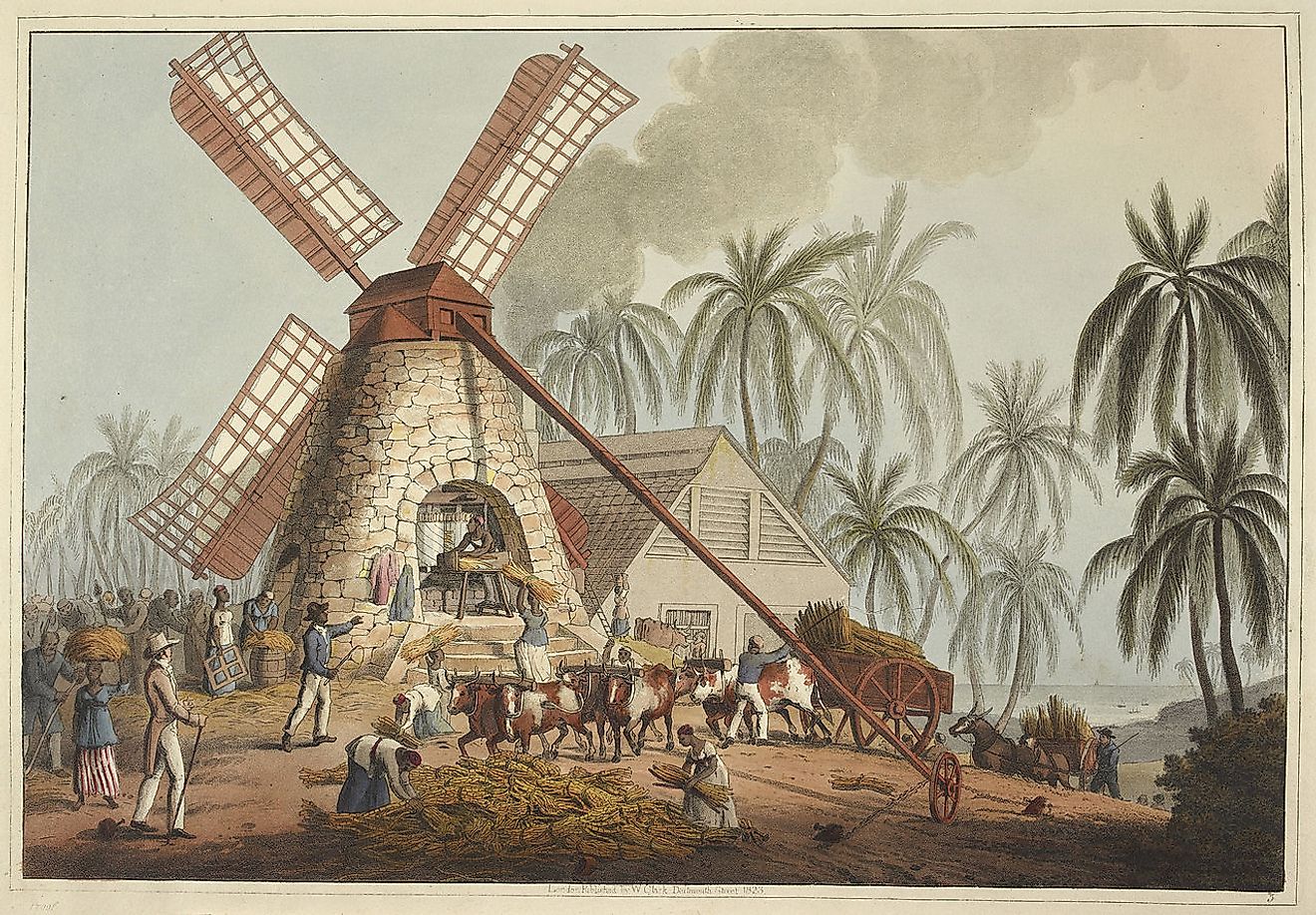 Sugar plantation in the British colony of Antigua, 1823.
