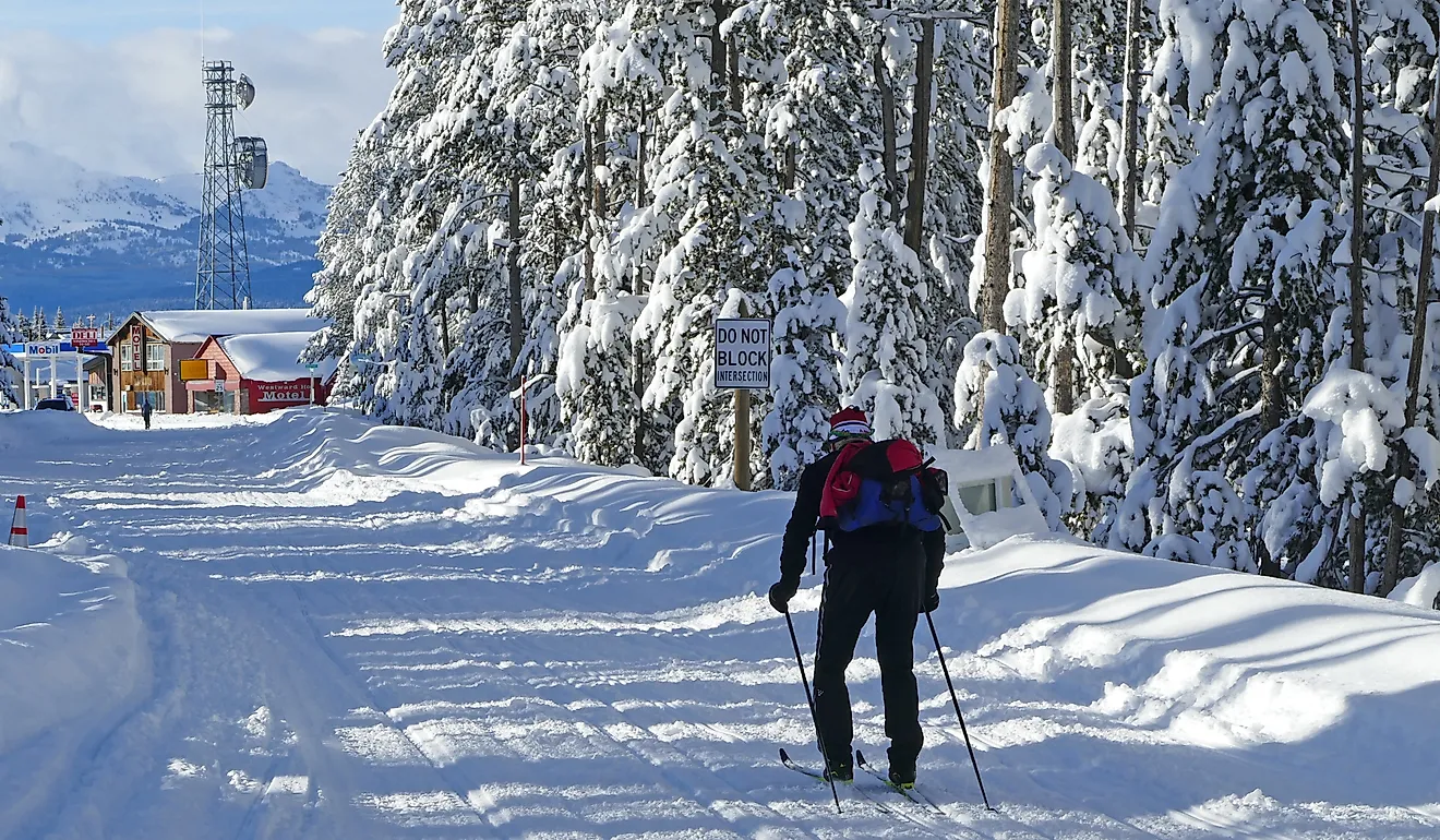 West Yellowstone, United States. Wilderness cross-country skier near the National Park Entrance. Milan Sommer via Shutterstock 