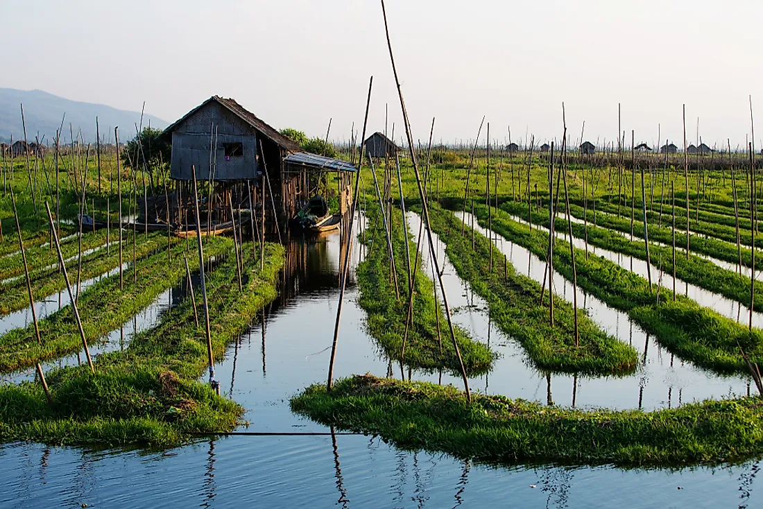 Floating gardens used for agriculture in Myanmar.