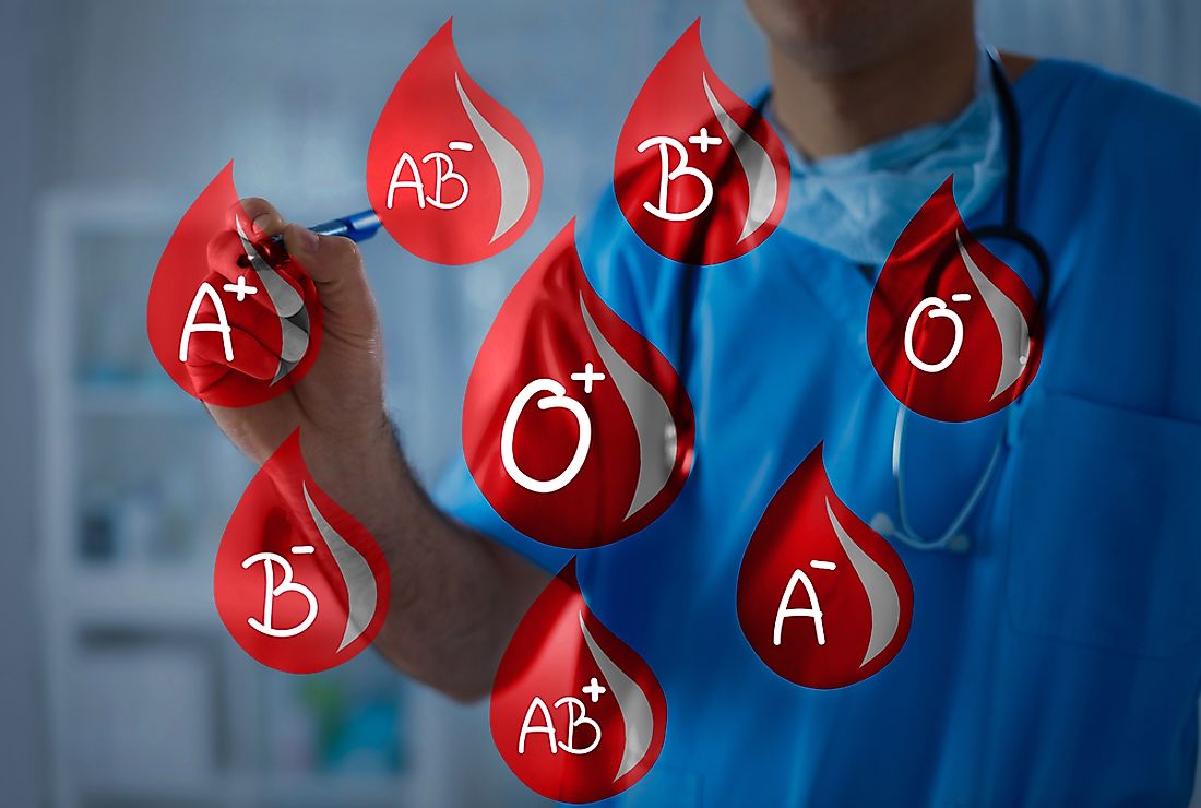 World Population By Percentage Of Blood Types Worldatlas