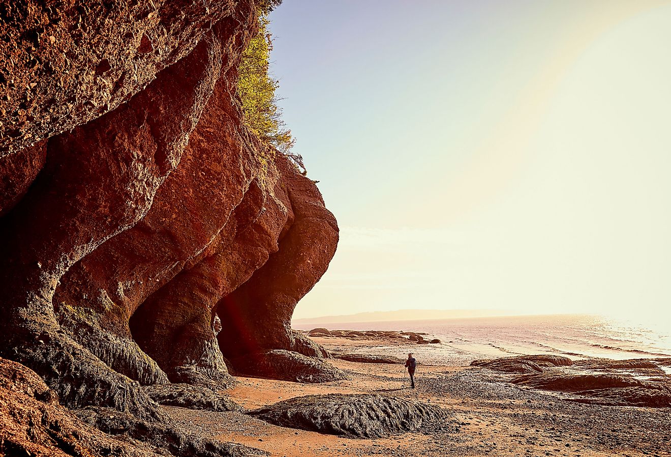 Tourist walking on the beach under a beautiful cliff on the coast of New Brunswick, Canada at the Bay of Fundy at low tide. Image credit  Julien Faugere via Shutterstock.