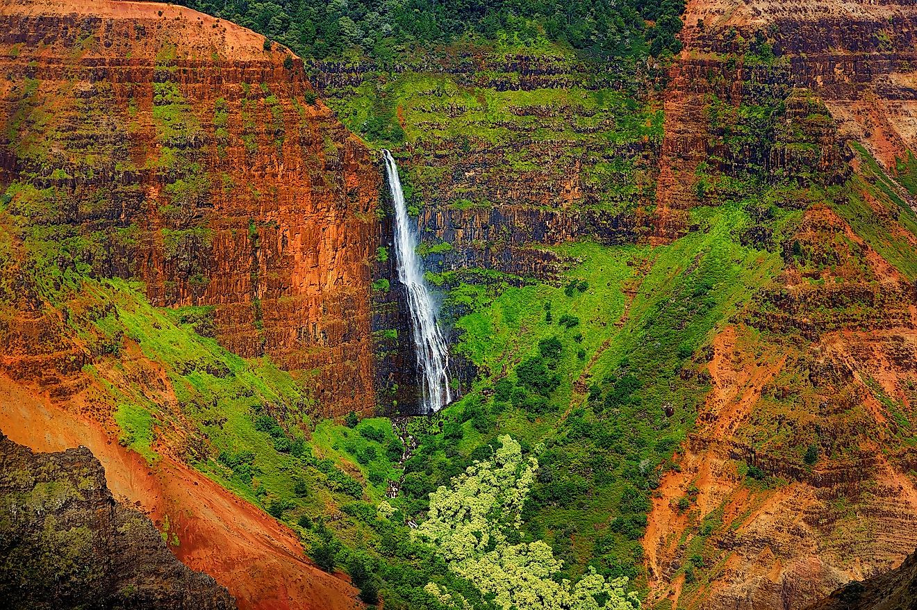 The majestic landscape of the Waimea Canyon State Park.