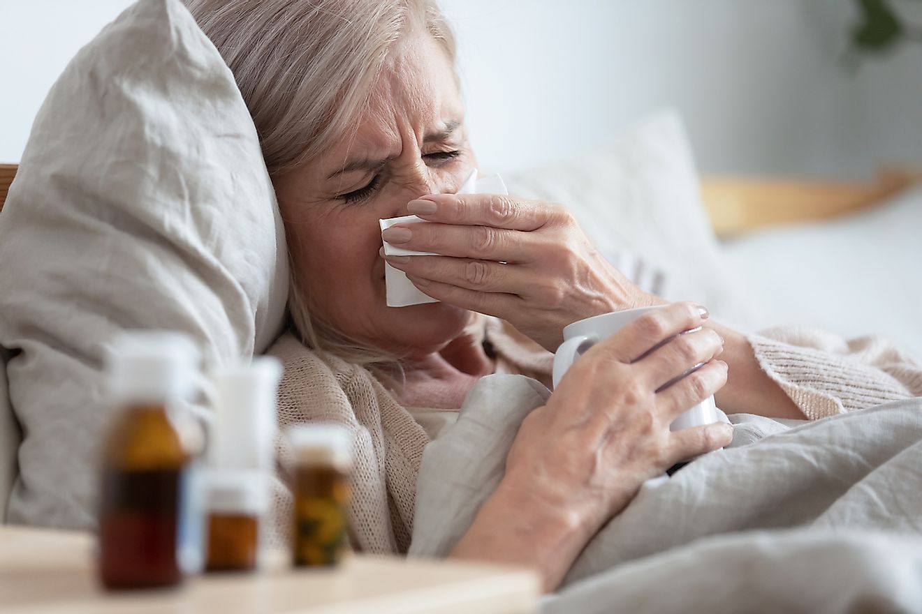 An elderly woman down with severe flu. Image credit: fizkes/Shutterstock.com