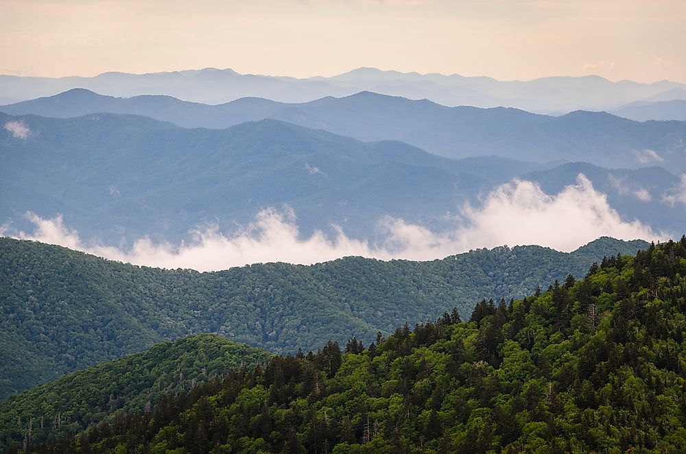 Dawn in Smokey Mountain National Park.
