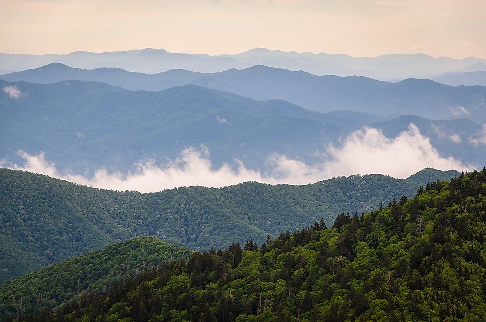 Dawn in Smokey Mountain National Park. 