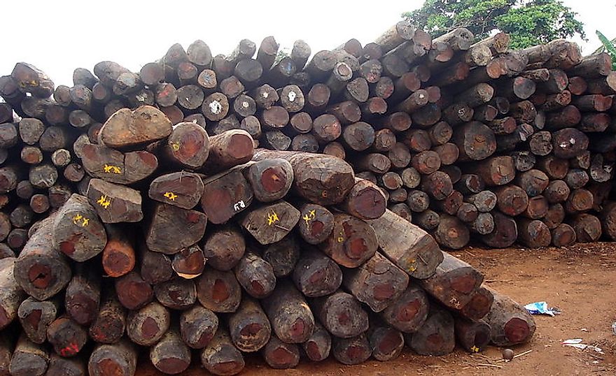 Stockpiles of illegally logged rosewood  in Antalaha, Madagascar.