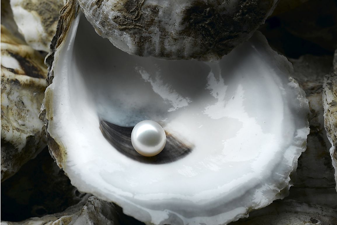 Although mollusks naturally produce pearls, most pearls today are cultured. 