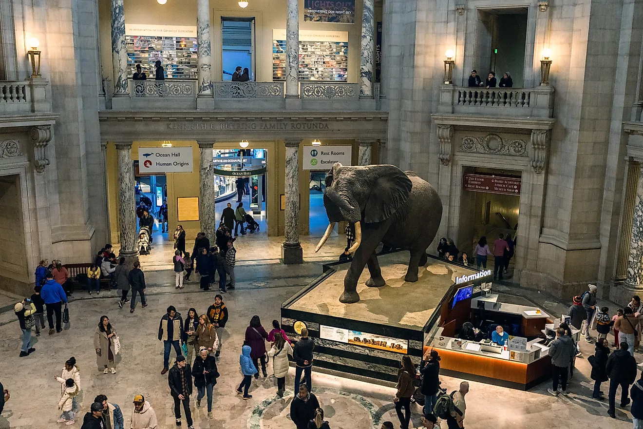 Smithsonian National Museum of Natural History, Editorial credit: becauz gao / Shutterstock.com