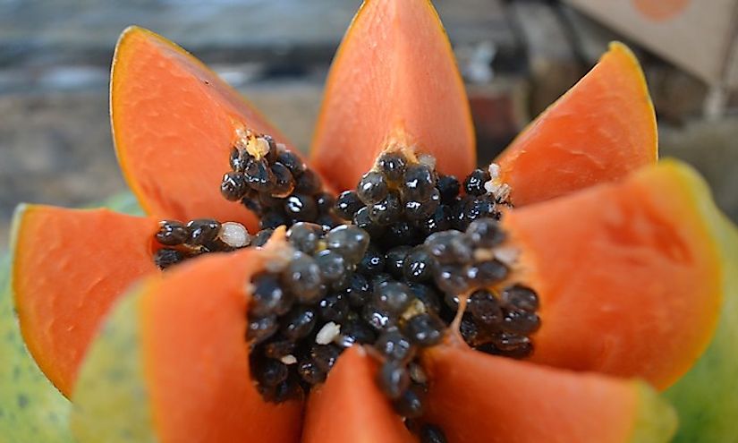 Papaya is a fruit that is rich in vitamins and consumed by many for its rich nutritional qualities.
