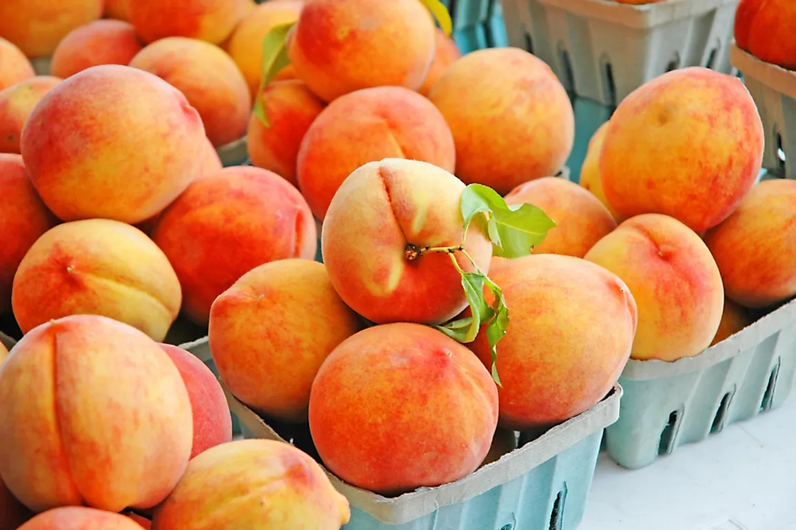 Peaches are Georgia's most famous export. 