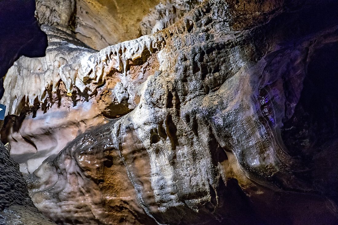 The natural habitat of the Tennessee cave salamander is in a cave. 