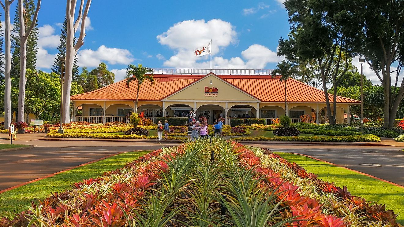 A view of the dole pineapple plantation at Mililani, Hawaii. Editorial credit: crbellette / Shutterstock.com
