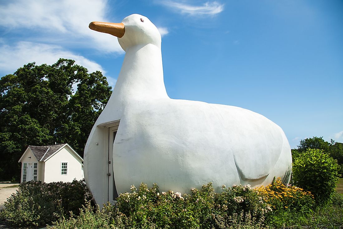 The Big Duck of Long Island, New York, is an example of novelty architecture. 